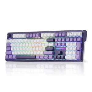 Wireless Gasket RGB Gaming Mechanical Keyboard